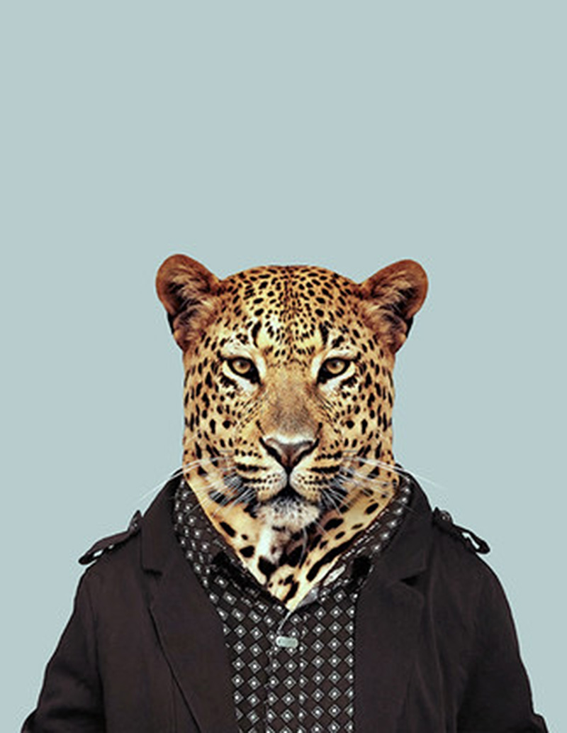 leopardteam